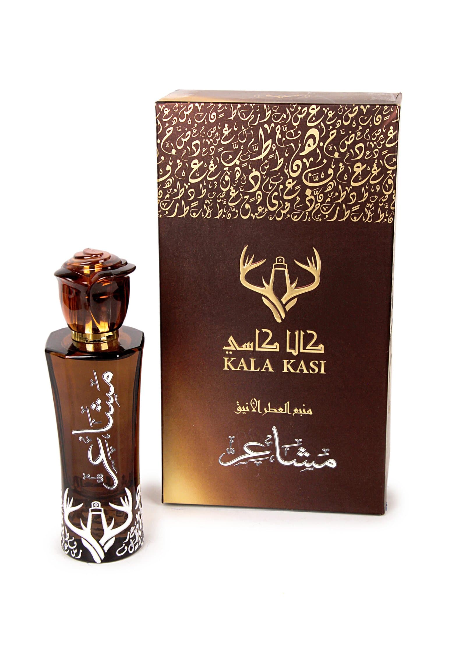 IMG_0712-scaled-2 مشاعر - الصورة 1